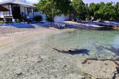fakarava-pension-chez-mareva-103
